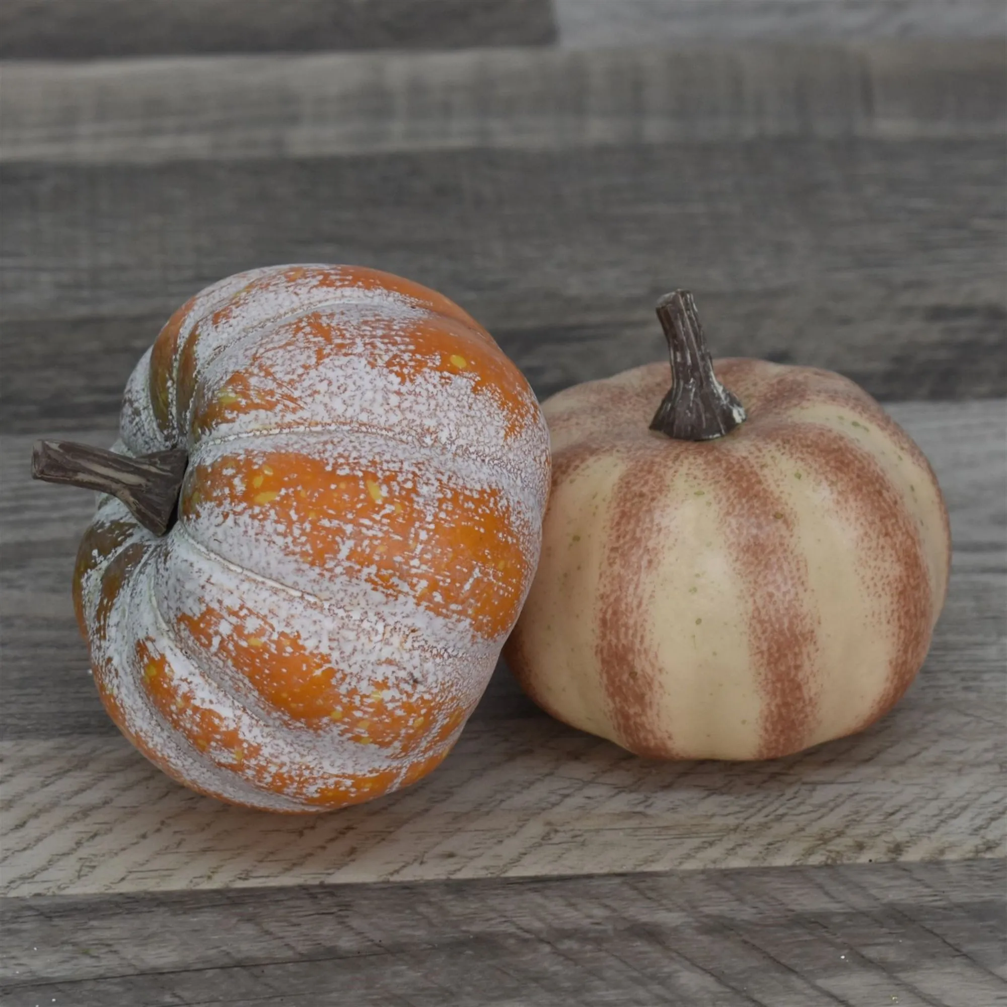 2.5"-3" Fairytale Pumpkins, Set of 2 | QD